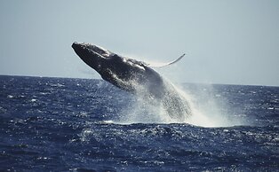 Hotel Bannister by Mint