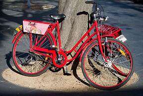 The Cullen Melbourne - Art Series