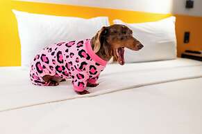 ibis Styles Belém Nazaré