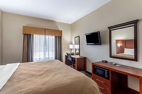 Comfort Inn & Suites Carbondale University Area