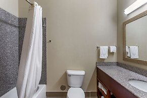 Comfort Inn & Suites Carbondale University Area