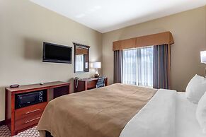 Comfort Inn & Suites Carbondale University Area