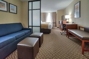 Comfort Suites Manhattan