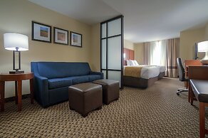 Comfort Suites Manhattan