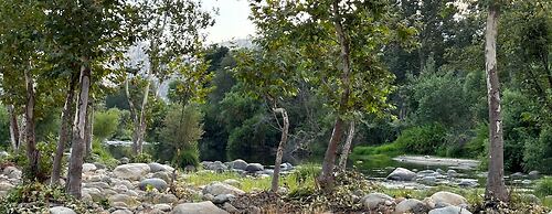 Sequoia Riverfront Cabins