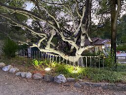 Sequoia Riverfront Cabins
