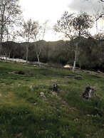 Sequoia Riverfront Cabins