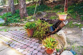 Sequoia Riverfront Cabins