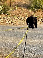 Sequoia Riverfront Cabins