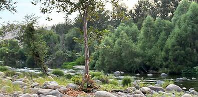 Sequoia Riverfront Cabins