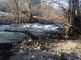 Sequoia Riverfront Cabins