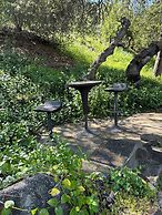 Sequoia Riverfront Cabins