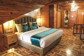 Bravia Hotel Manali Inn