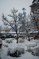 Bravia Hotel Manali Inn