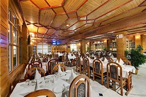 Bravia Hotel Manali Inn