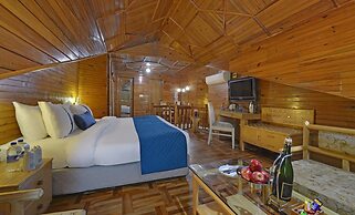 Bravia Hotel Manali Inn