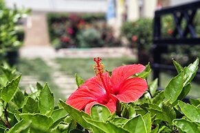 Haraki Mare Studios & Apartments