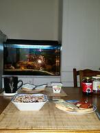 RingAvenue Apartments