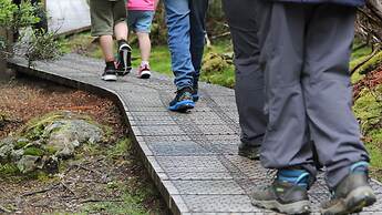 Peppers Cradle Mountain Lodge