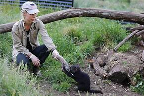 Peppers Cradle Mountain Lodge