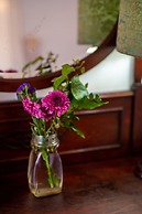 5th Avenue Gooseberry Guest House