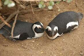 Crayfish Lodge Sea & Country Guest House