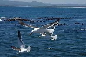 Crayfish Lodge Sea & Country Guest House