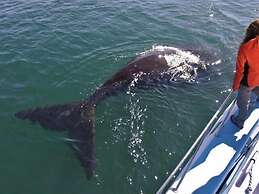 Crayfish Lodge Sea & Country Guest House