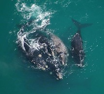 Crayfish Lodge Sea & Country Guest House