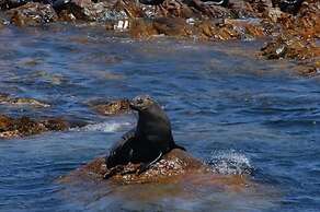 Crayfish Lodge Sea & Country Guest House