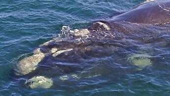 Crayfish Lodge Sea & Country Guest House