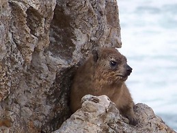 Crayfish Lodge Sea & Country Guest House