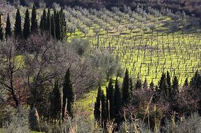 Villa Giorgia Albergo In Collin