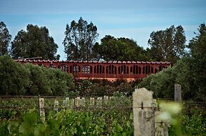 Ryad des Vignes