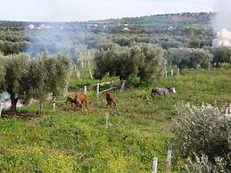 Ryad des Vignes