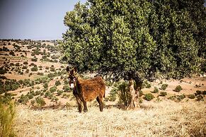 Ryad des Vignes