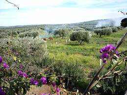 Ryad des Vignes