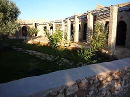 Ryad des Vignes