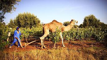 Ryad des Vignes