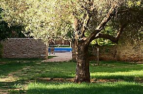 Ryad des Vignes