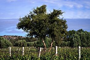 Ryad des Vignes