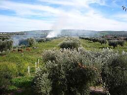 Ryad des Vignes