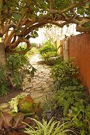 Beach Place Guesthouses