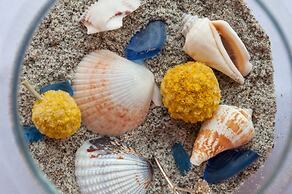 Beach Place Guesthouses