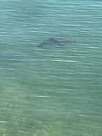 Glen Eden Beach Resort