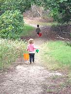 Glen Eden Beach Resort