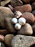 Glen Eden Beach Resort