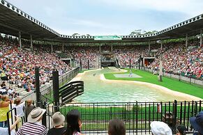 Glass House Mountains Ecolodge