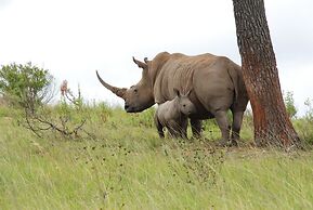 Botlierskop Private Game Reserve