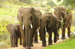 Botlierskop Private Game Reserve